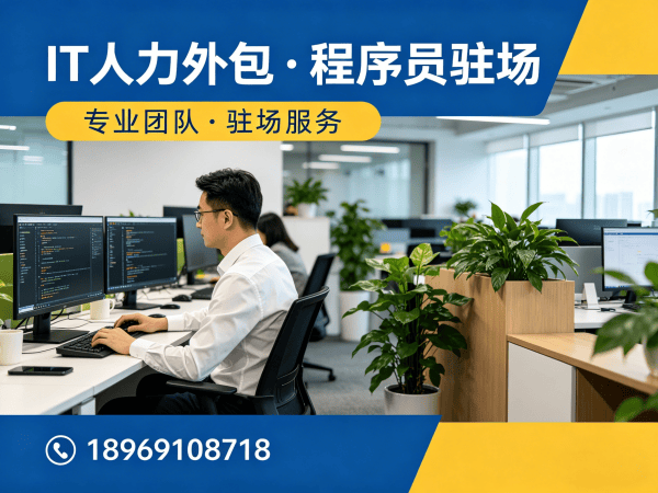 福州企业IT人力外包解决方案：高级程序员驻场开发的高效价值