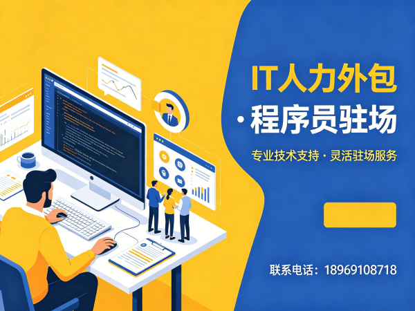 天津IT人力外包解决方案：破解程序员驻场开发难题