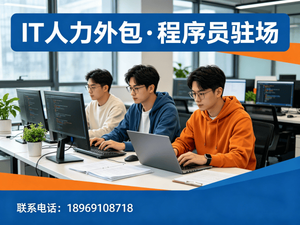 天津IT人力外包解决方案：破解企业技术团队搭建难题